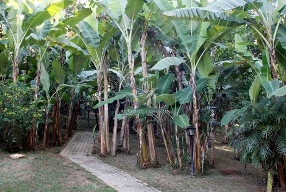 Chácara, 10 quartos, 5000 m² - Foto 16