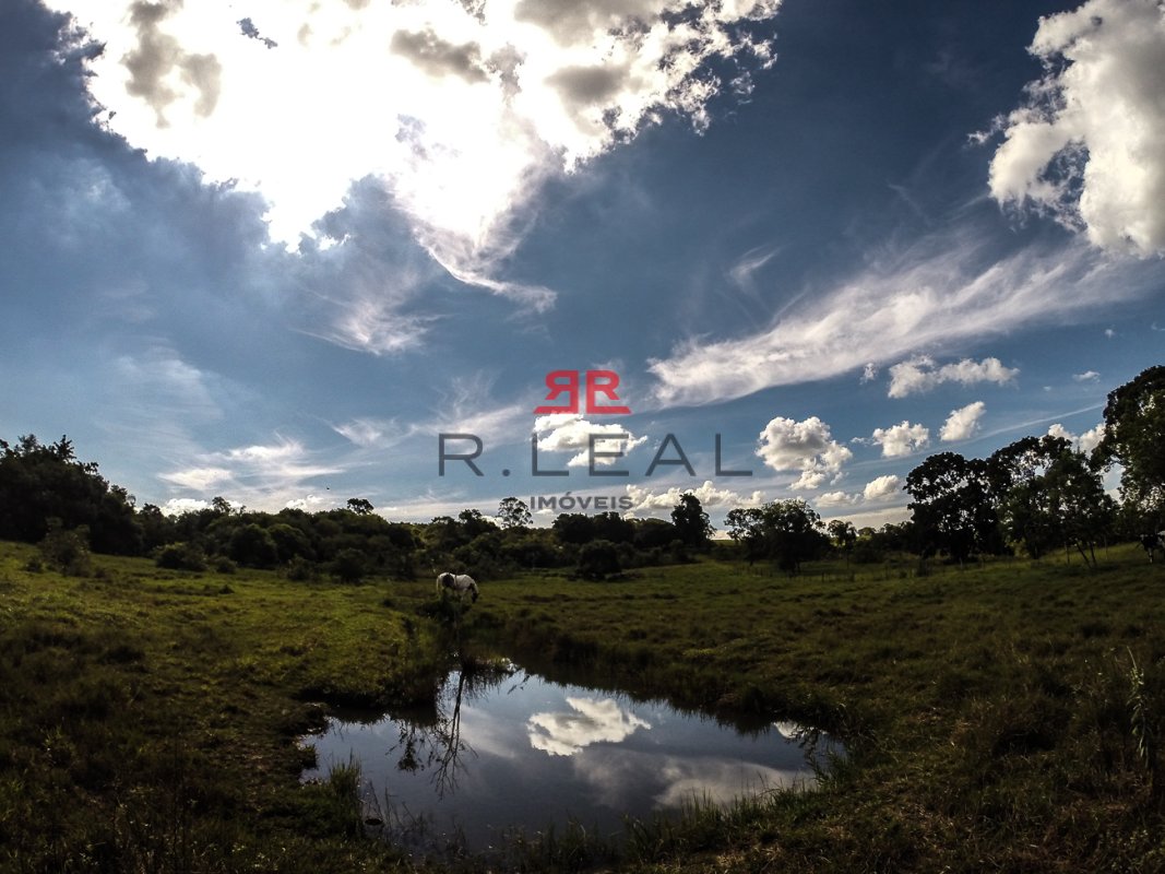 Fazenda, 9228 hectares - Foto 24