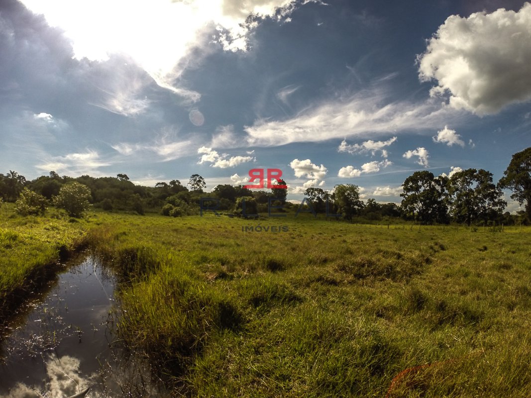 Fazenda, 9228 hectares - Foto 31