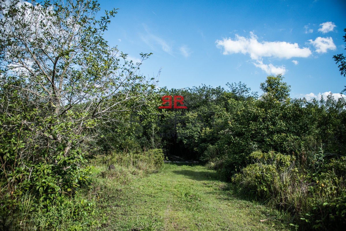 Fazenda, 9228 hectares - Foto 20