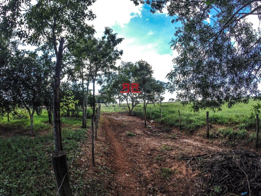Fazenda, 9228 hectares - Foto 21