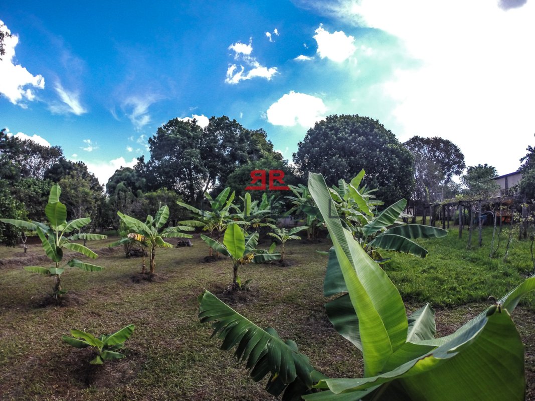 Fazenda, 9228 hectares - Foto 36