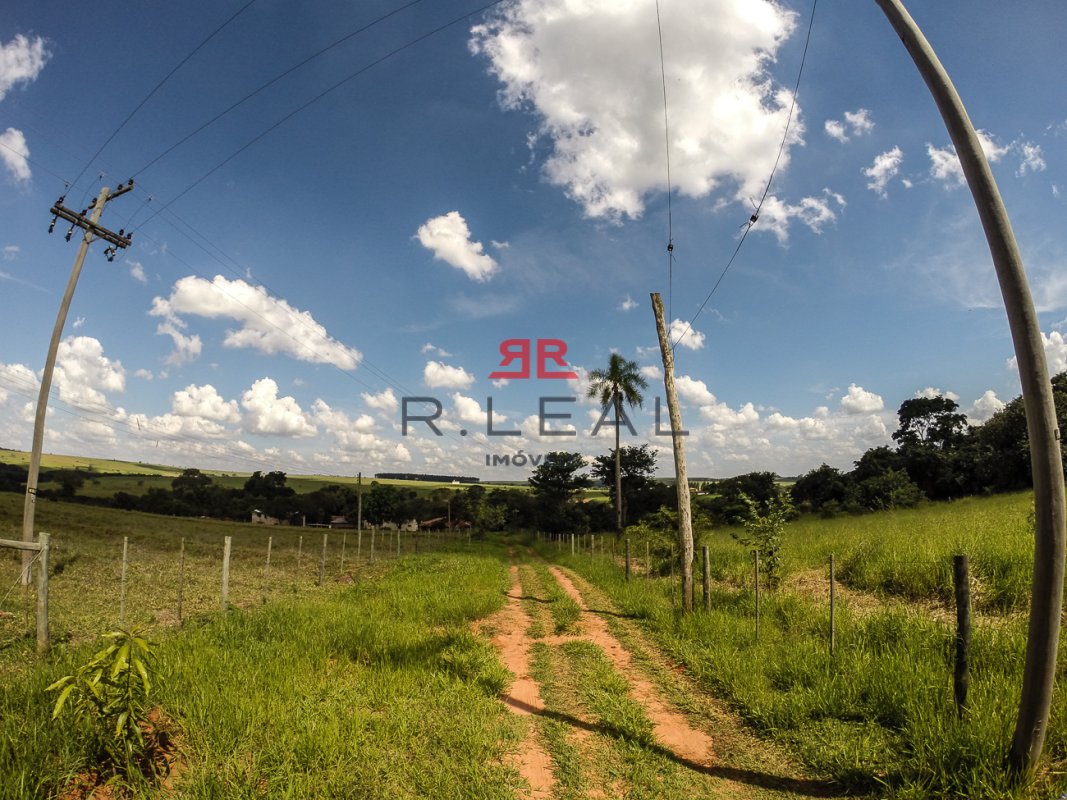 Fazenda, 9228 hectares - Foto 17
