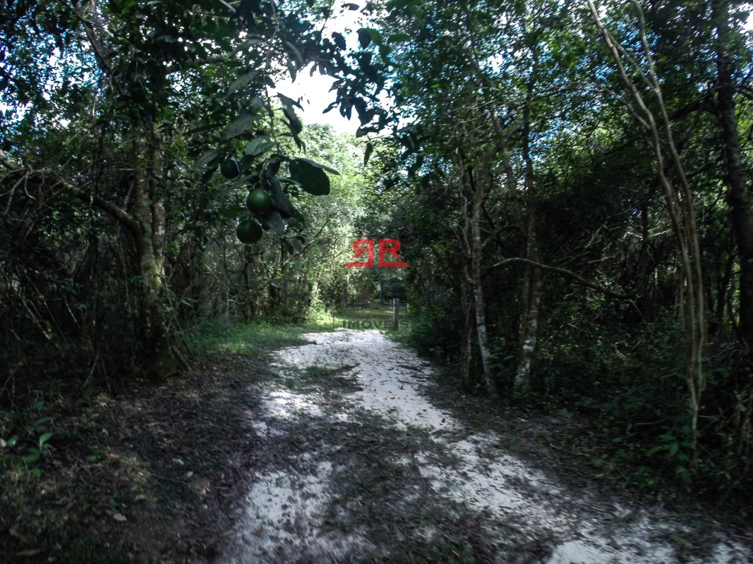 Fazenda, 9228 hectares - Foto 28