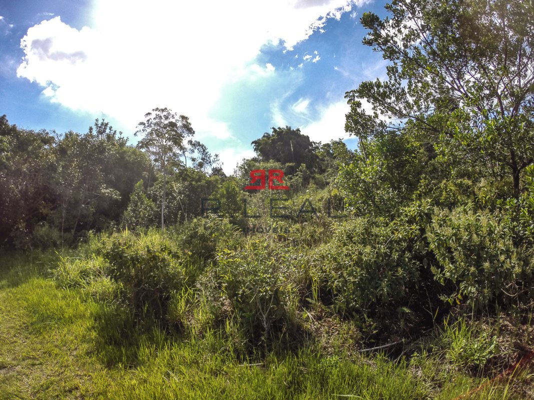 Fazenda, 9228 hectares - Foto 12
