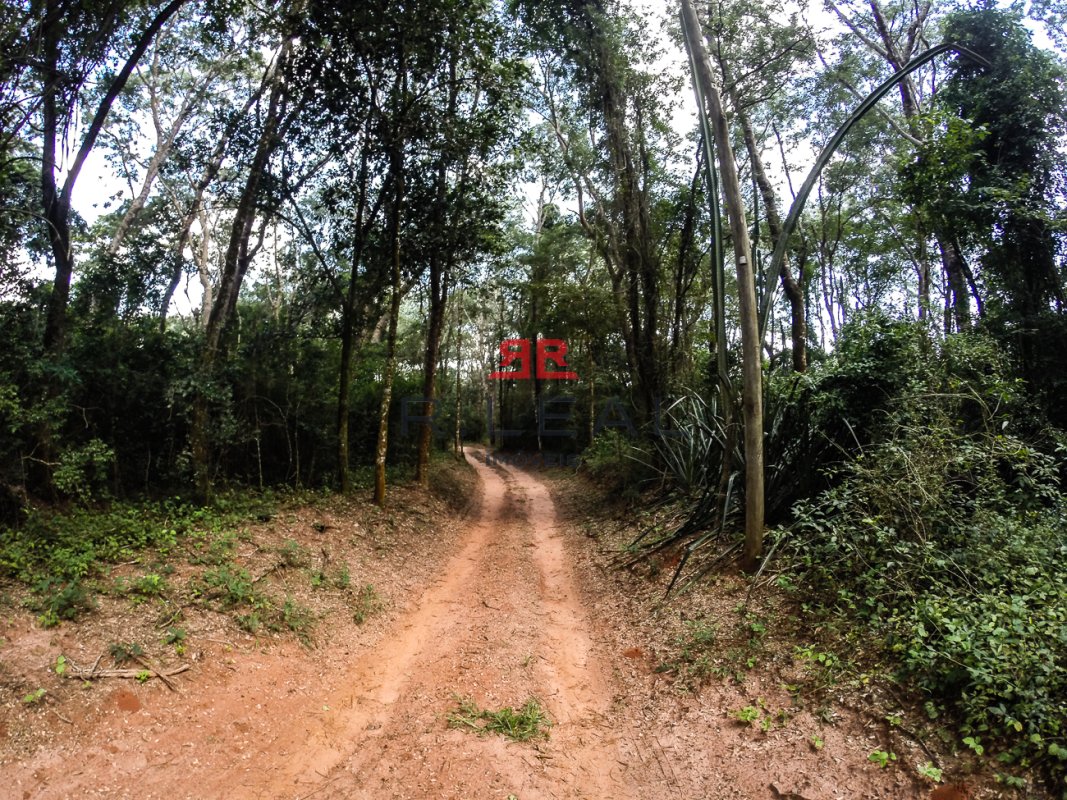 Fazenda, 9228 hectares - Foto 15