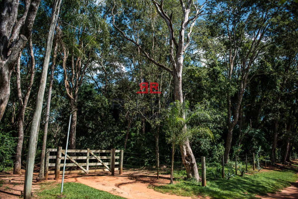 Fazenda, 9228 hectares - Foto 3