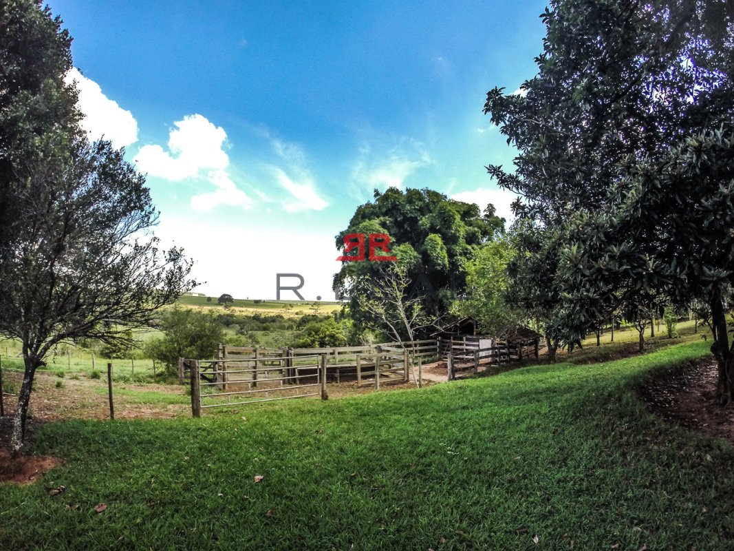 Fazenda, 9228 hectares - Foto 8